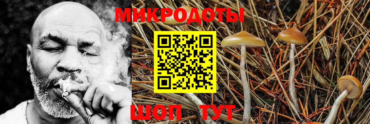 Псилоцибиновые грибы мухоморы  Галлюциногенные грибы мицелий  наркошоп  Осинники  Вход с VPN 
